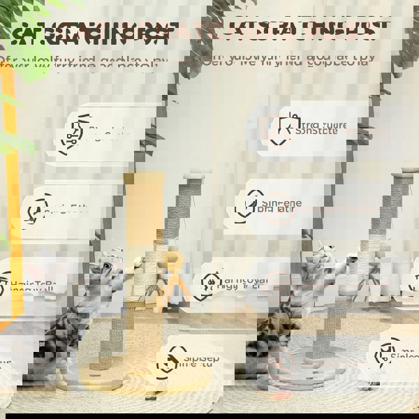D30-811V00BN