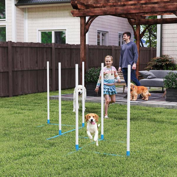 Pet Agility Set