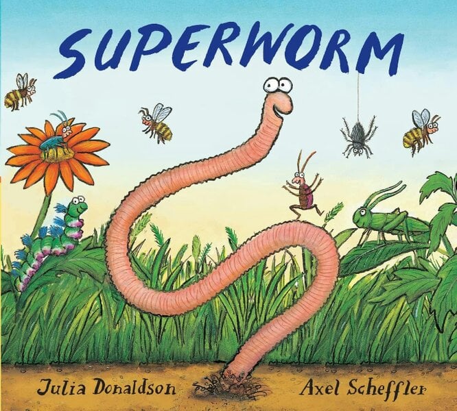 Julia Donaldson 6 Board Books Collection Set (The Highway Rat, Superworm, Zog, Tiddler, The Smeds and The Smoos, The Scarecrows Wedding)