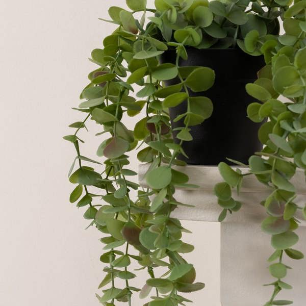 Scottish Everlastings Artificial Trailing Eucalyptus