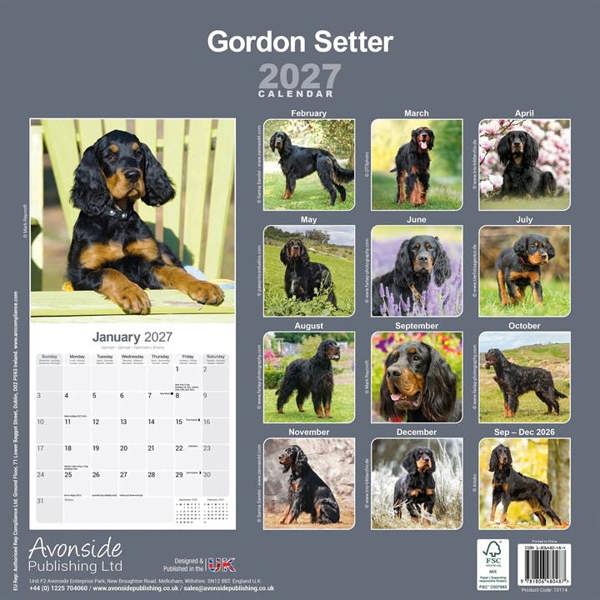 Gordon Setter Calendar 2027, Wall Calendars, Month To View, Dogs, Gift