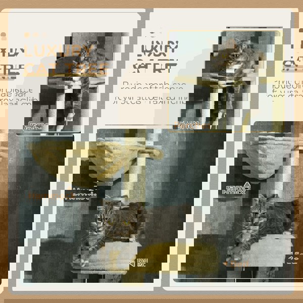 D30-756V00BG