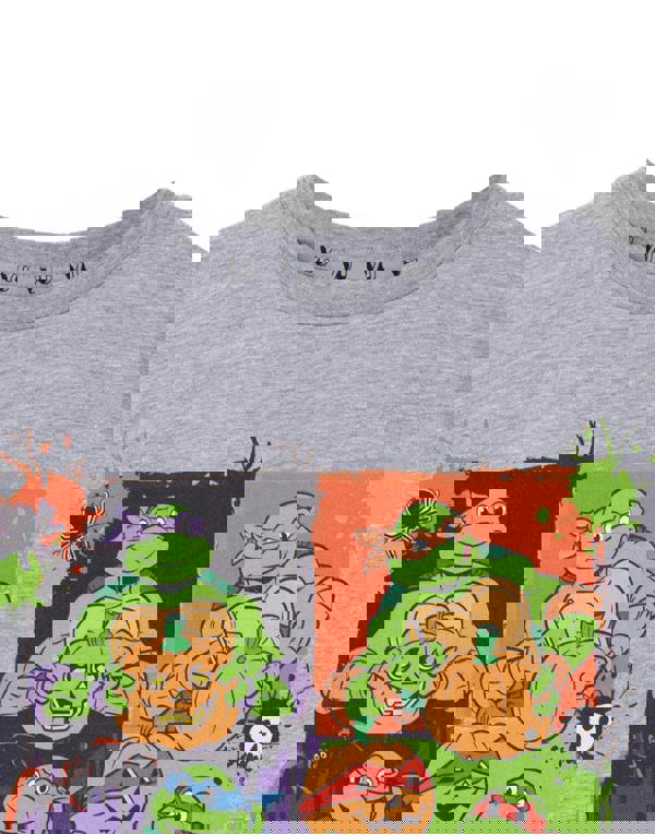 Teenage Mutant Ninja Turtles Unisex Kids Grey Boo Crew Short Sleeved T-Shirt