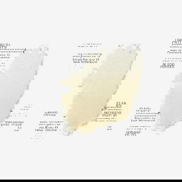 Evolve Beauty Lip Treat Treatment 15 ml