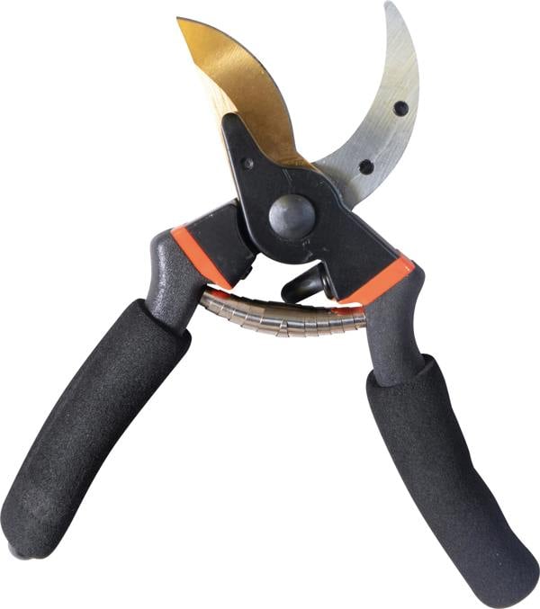 St Helens Pruning Shears
