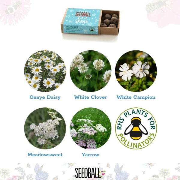 SEEDBALL Eco-Friendly Wildflower Seeds Stocking Fillers (Set of Three)