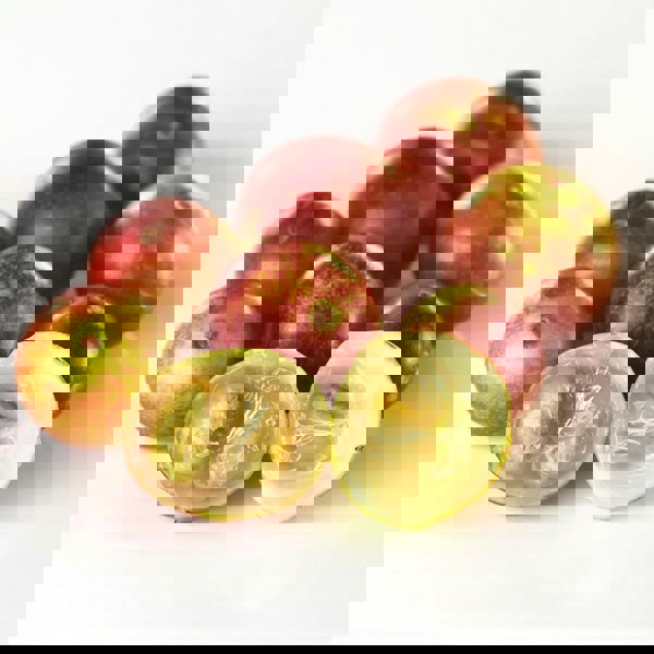 L'Anza Healing Volume Root Effects Hair Styling Mousse 200ml