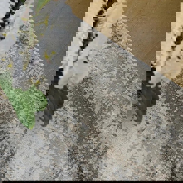 Rug Guru Persia Mocha Cloud