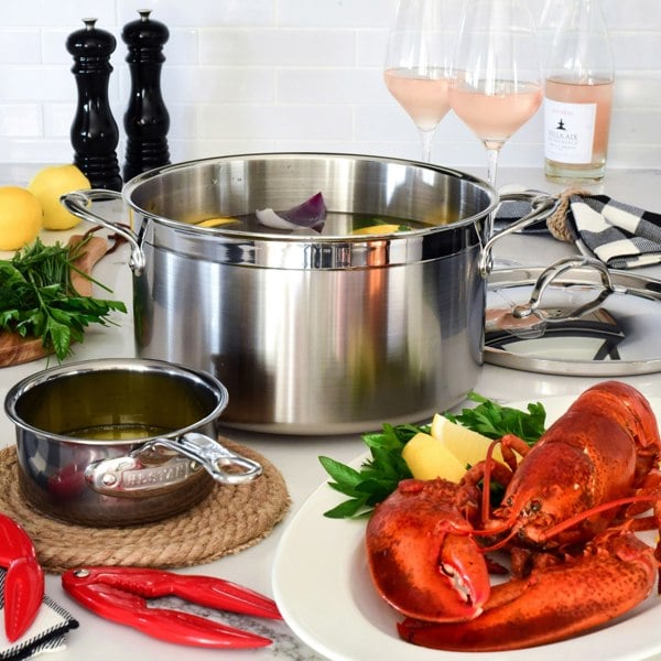 Hestan ProBond Induction Stainless Steel Stockpot & Lid - 26cm (7.6L)