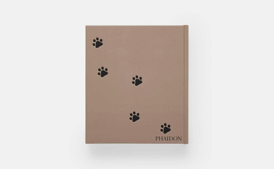 Cat by Phaidon Editors - A whimsical visual survey of the house cat in art and popular culture