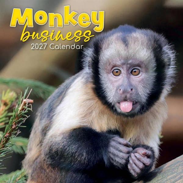 Monkey Business Calendar 2027, Wall Calendars, Month To View, Animals, Gift