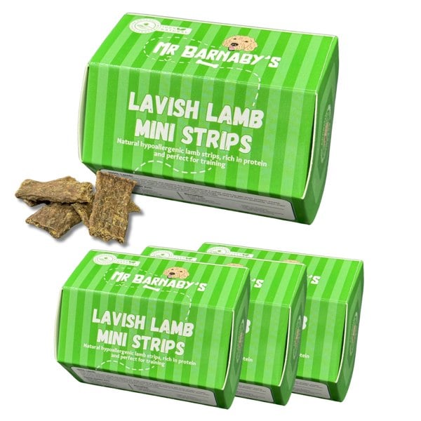 Mr Barnaby's Lavish Lamb Mini Strips Dog Treats (Pack of 4)