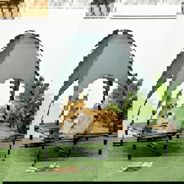 D04-059