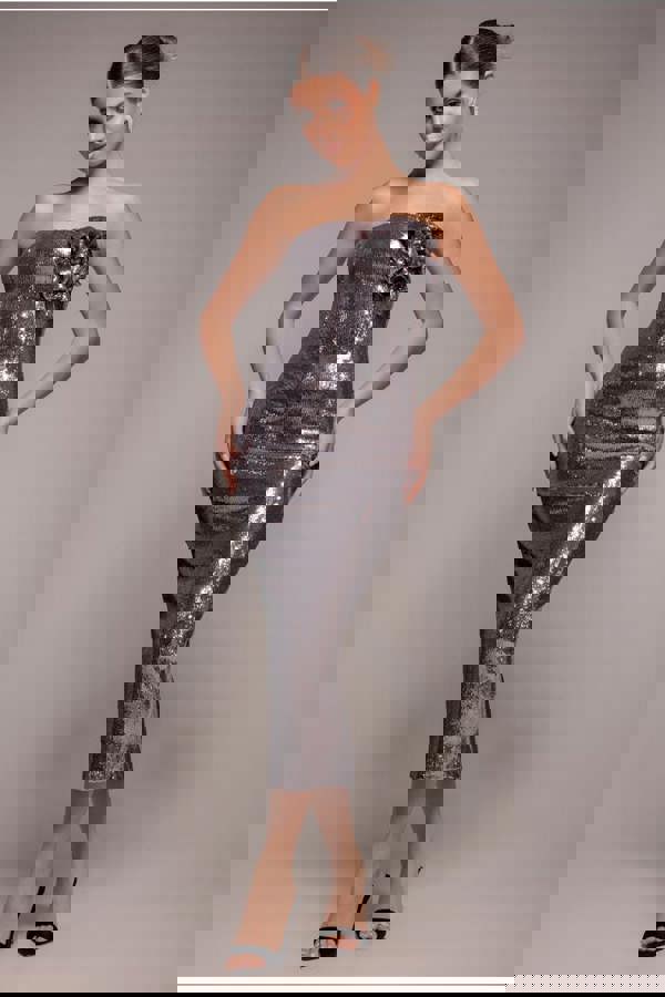 Liquid Sequin Boobtube Midaxi With Corsage - Silver DR4126