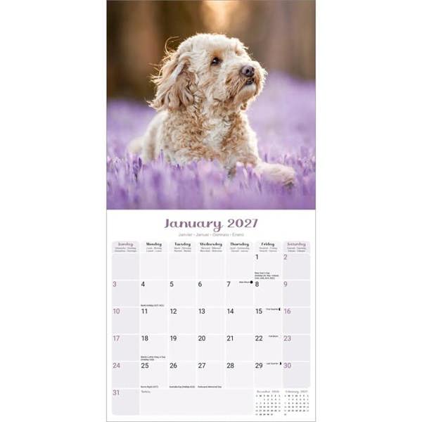 Puppies Calendar 2027, Wall Calendars, Month To View, Dogs, Gift