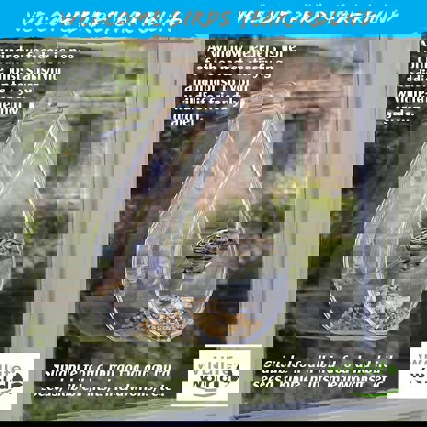 smartbies Dewdrop Window Bird Feeder