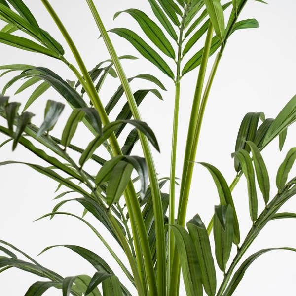 Scottish Everlastings 190cm Real Touch Palm Tree