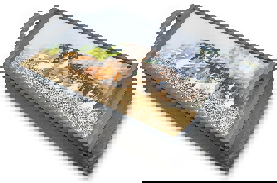 Aidapt Wooden Lap Tray With Cushion Puppies