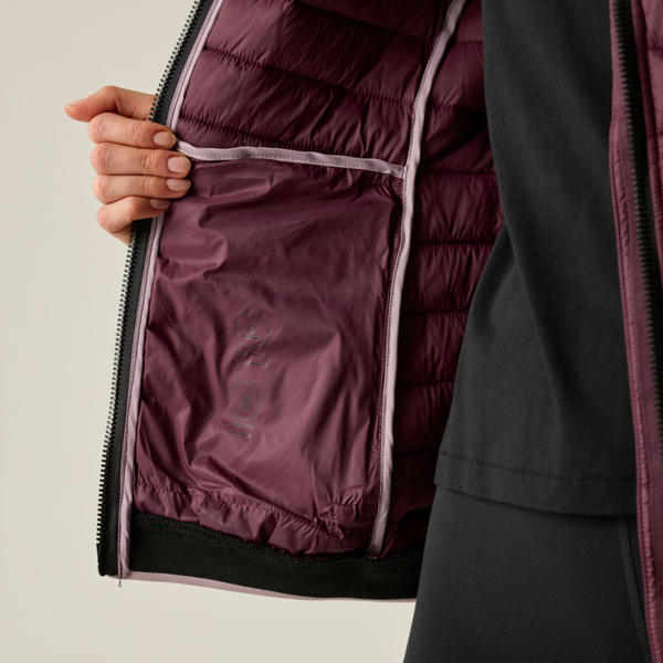 Regatta Womens/Ladies Haile Padded Jacket - Fig
