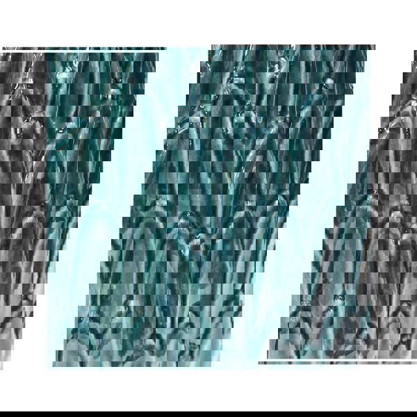 #color_teal