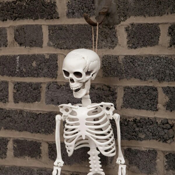 Samuel Alexander 10 Pack: 3ft (90cm) Posable Full Body Halloween Skeleton Decoration with Movable Joints