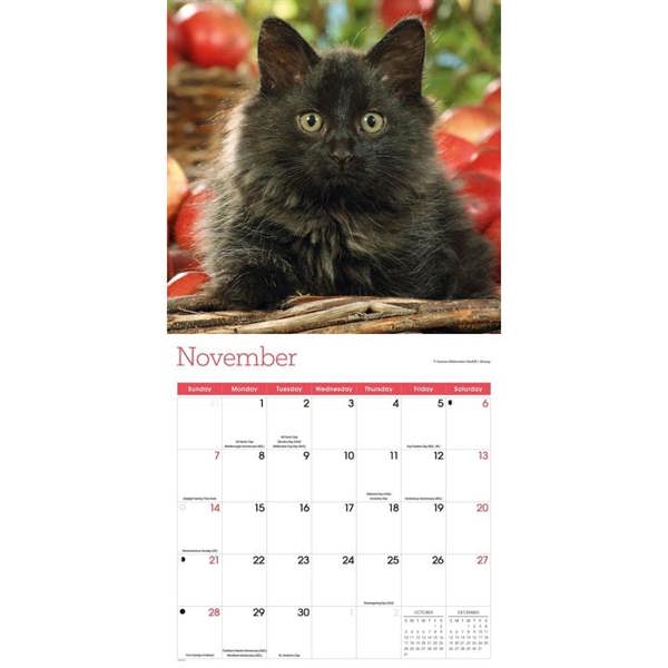 Black Kittens Calendar 2027, Wall Calendars, Month To View, Cats, Gift