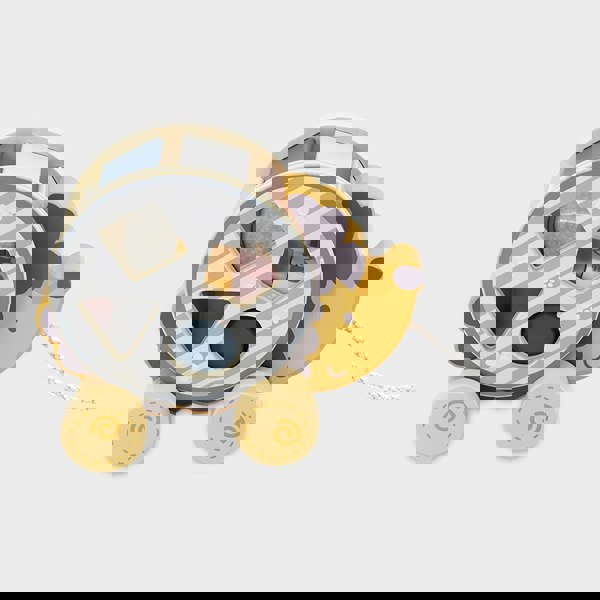 Polar B Hedgehog Sorting Wheel