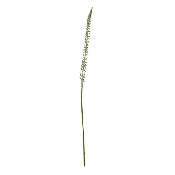 Hill Interiors Eremurus Stem Artificial Plant - White