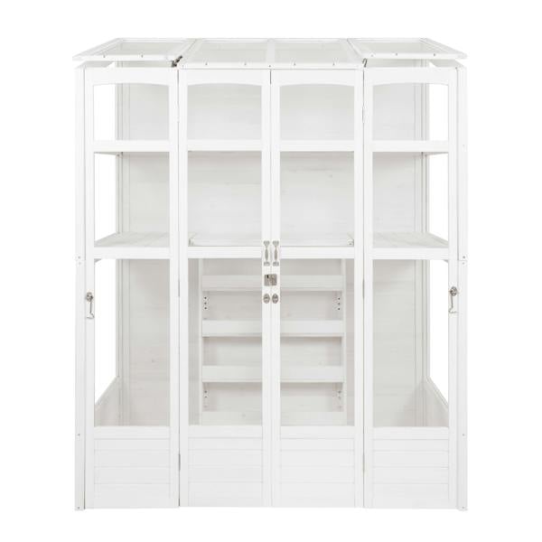 Victorian-style white greenhouse with multiple shelves, large glass panels, and wooden frame, ideal for plant cultivation and display