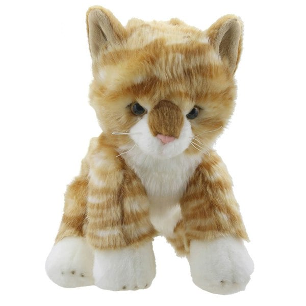 Wilberry Cat (Ginger) - Wilberry Favourites