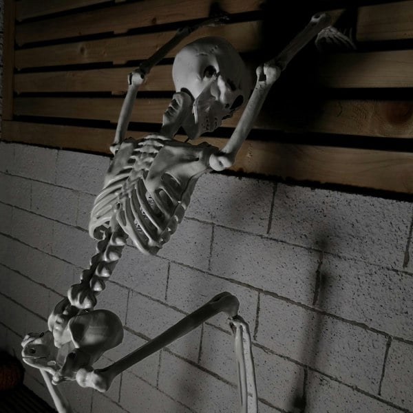 Samuel Alexander 90cm (3ft) Posable Full Body Halloween Skeleton Decoration with Movable Joints