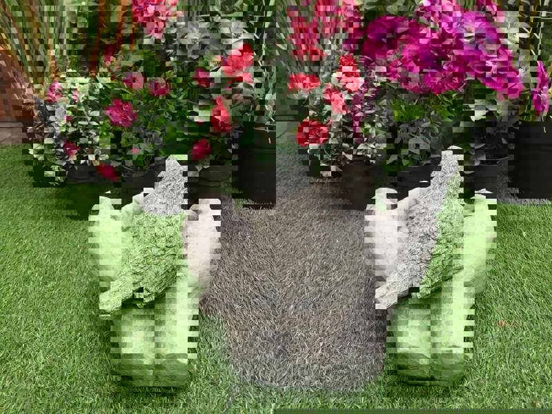 Bird in Hand Birdbath / Bird feeder