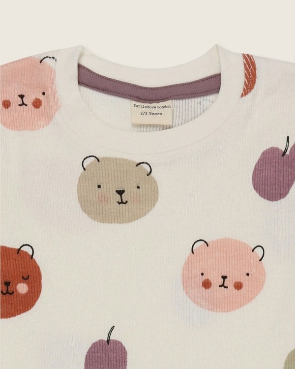 Teddy bear kids t-shirt and shorts set