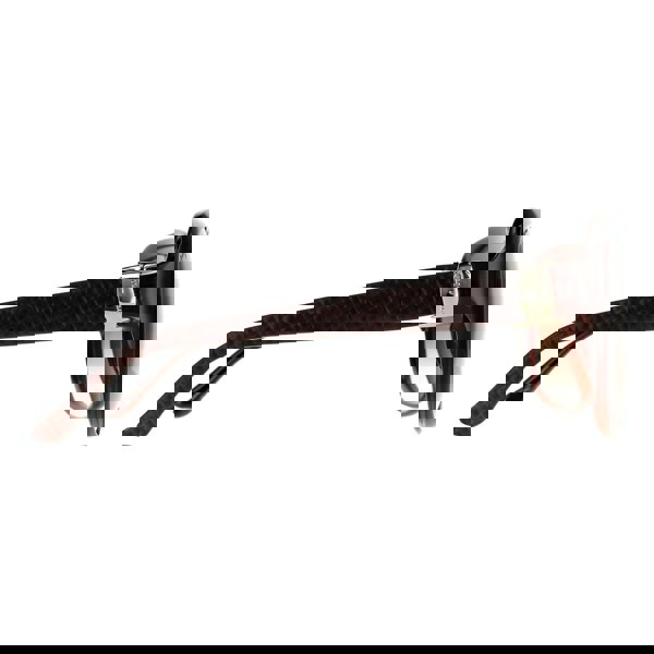 Salvatore Ferragamo Sunglasses SF739SA 210 Brown Brown Gradient