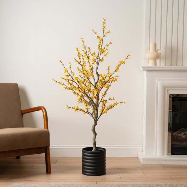 Scottish Everlastings 132cm Forsythia Tree