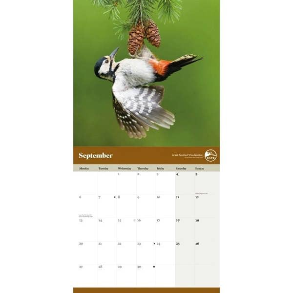 RSPB, Garden Birds Calendar 2027, Wall Calendars, Month To View, Animals, Gift