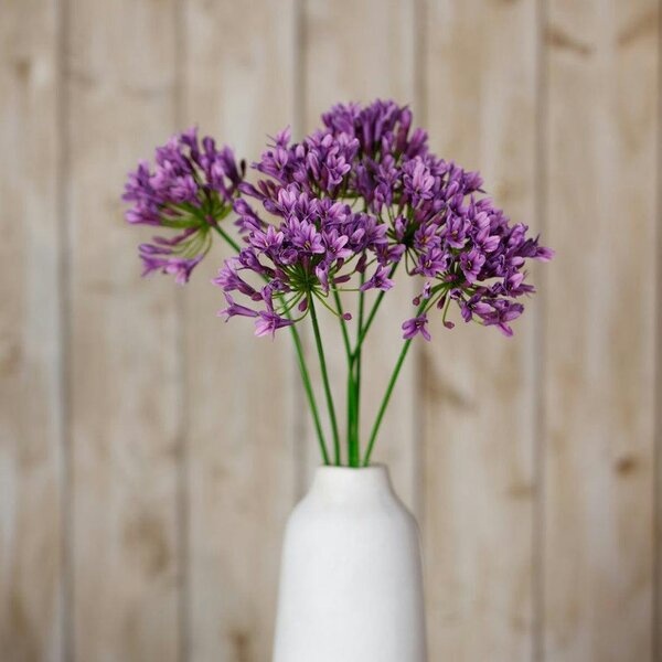 Wyld Haus Set of 3 Artificial Flowers Lilac Agapanthus Sprays