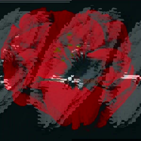 Smashing Pumpkins 'Adore' 2LP Gatefold Black Vinyl