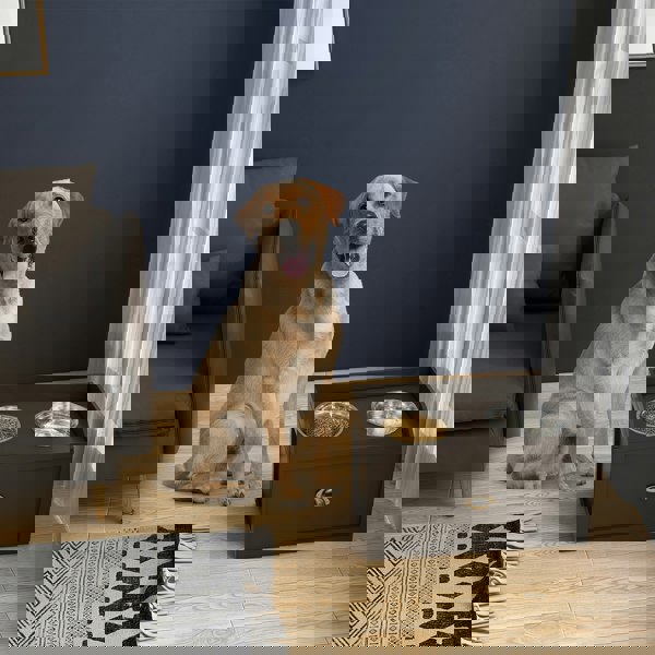 D08-041V80CF