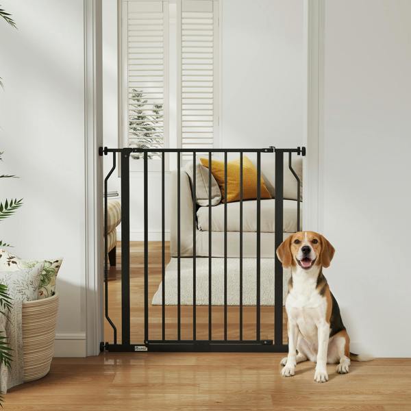Pet Gate