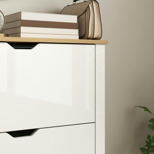 Wyld Haus Sakeno High Gloss White Slim Shoe Cabinet With 2 Flip Drawers For 12 Pairs