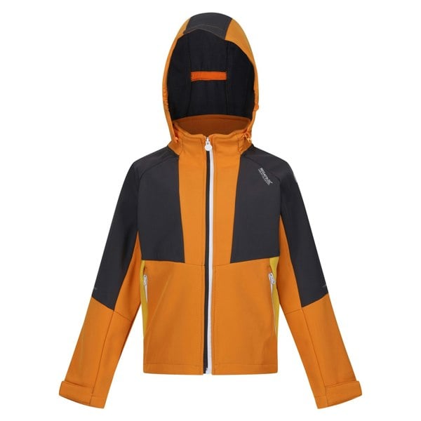 Regatta Childrens/Kids Haydenbury Soft Shell Jacket - Orange Pepper/Seal Grey