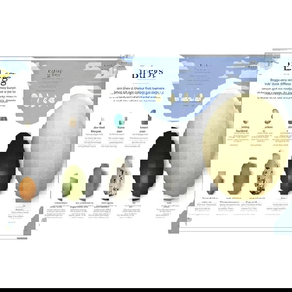 Nature's Treasures: Tales Of More Than 100 Extraordinary Objects From Nature (DK Treasures)