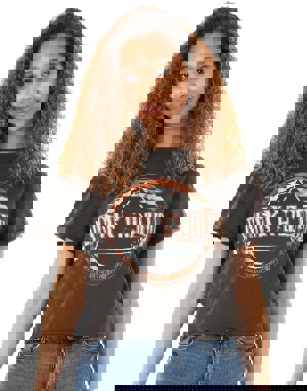 Amplified Clothing Womens Grey Pink Floyd Cropped Short Sleeved T-Shirt