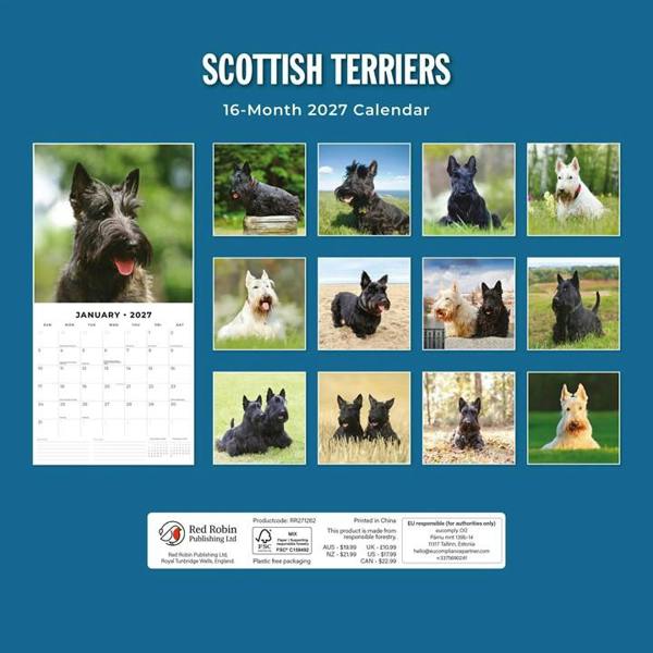 Scottish Terriers Calendar 2027, Wall Calendars, Month To View, Dogs, Gift