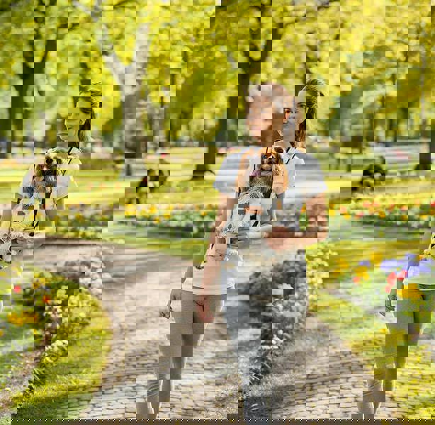 Anywags ANYPET Small Denim Pet Carrier - Breathable Travel Backpack with Pockets