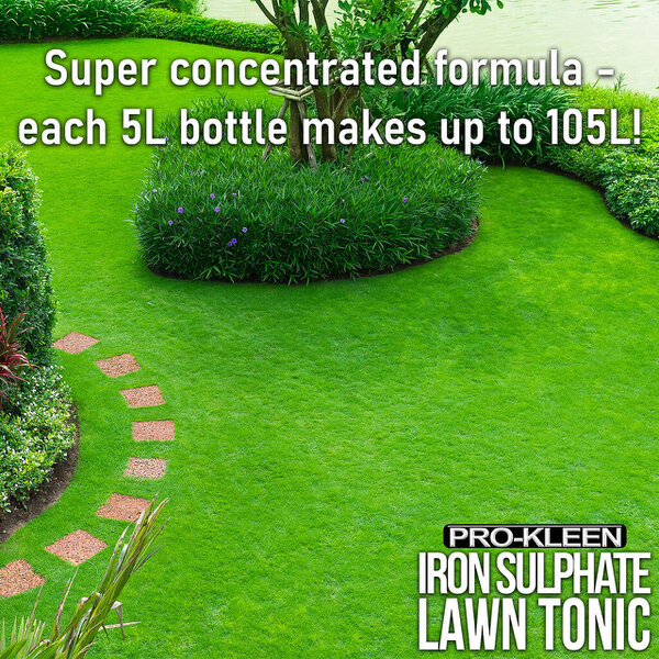 ProKleen Pro-Kleen 10L Pump Sprayer with Pro-Kleen Liquid Iron Sulphate 5L Grass Greener & Turf Hardener
