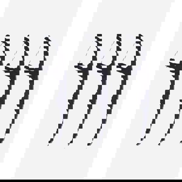 Spotlight Oral Care Dental Floss Picks Whitening