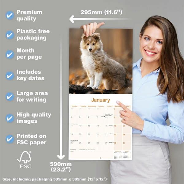 Shetland Sheepdog Calendar 2027, Wall Calendars, Month To View, Dogs, Gift
