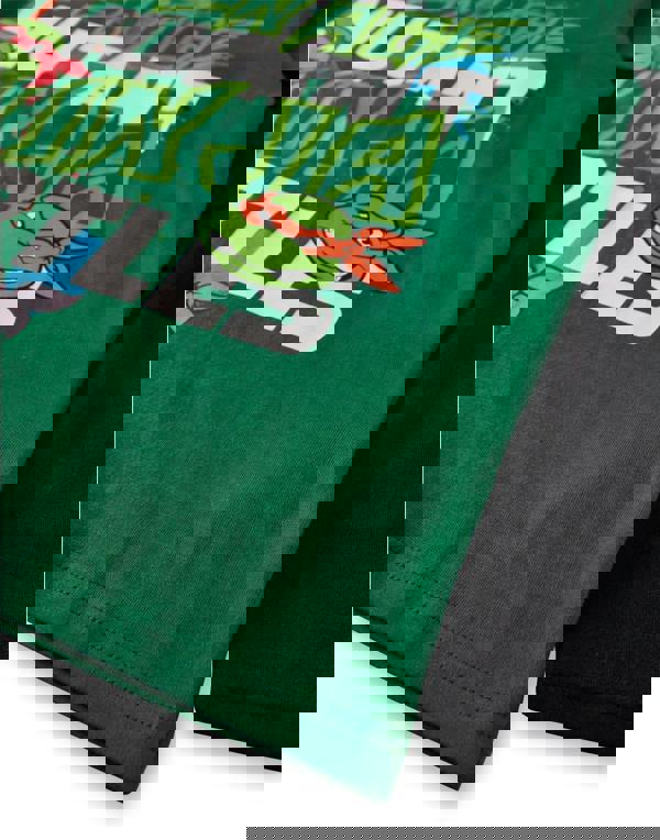 Teenage Mutant Ninja Turtles Boys Green Stacked Text Long Sleeved T-Shirt